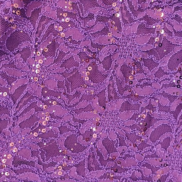 Ralph Lauren Purple Lace Evening Dress with Sequins Size 12 - Picture 5 of 9